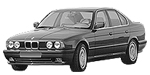 BMW E34 P2602 Fault Code